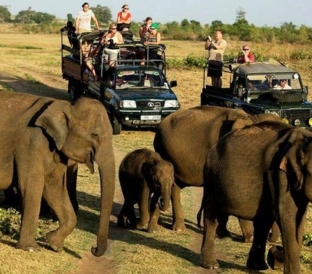 Udawalawe National Park