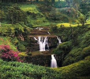 Nuwara Eliya - Little England