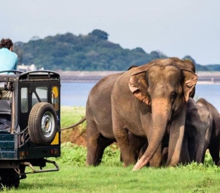 Yala National Park