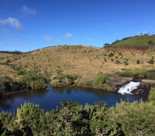 Horton Plains - Highland Escape